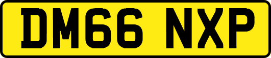 DM66NXP