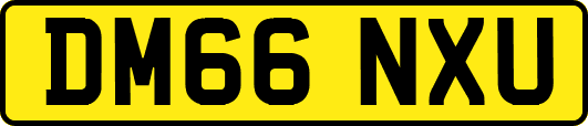 DM66NXU