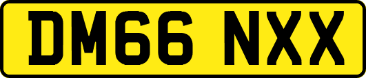 DM66NXX