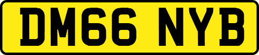 DM66NYB