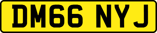DM66NYJ
