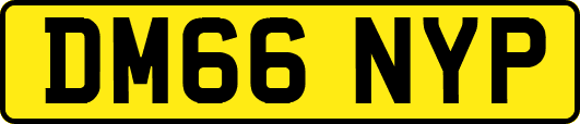 DM66NYP