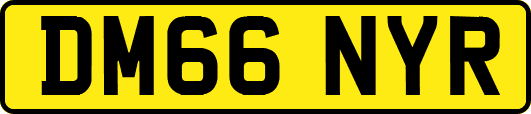 DM66NYR