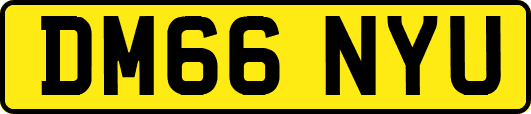 DM66NYU