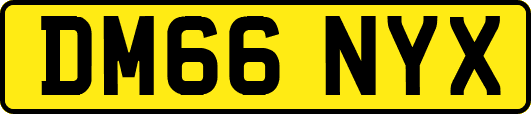 DM66NYX