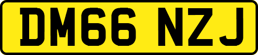 DM66NZJ