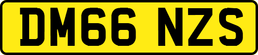 DM66NZS