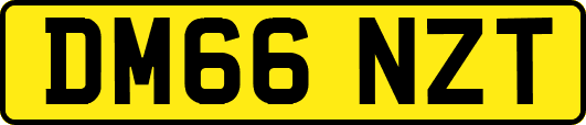 DM66NZT