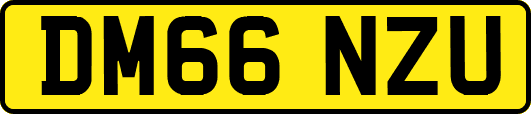DM66NZU