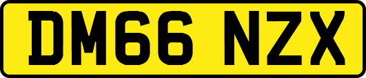 DM66NZX