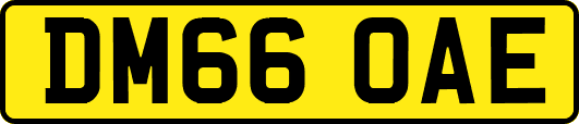 DM66OAE