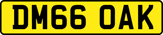 DM66OAK