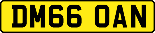 DM66OAN
