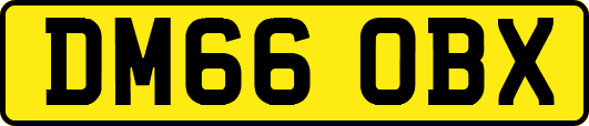 DM66OBX