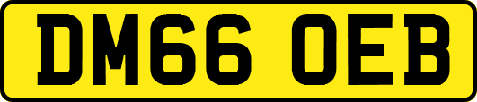 DM66OEB