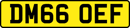 DM66OEF