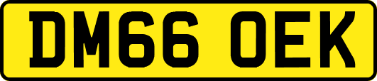 DM66OEK