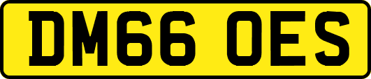 DM66OES
