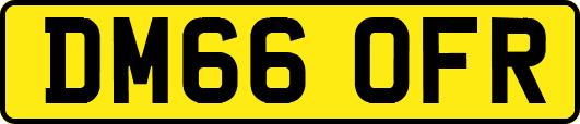 DM66OFR