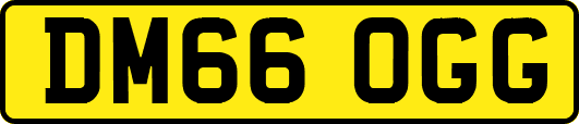 DM66OGG