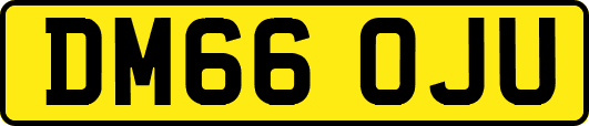 DM66OJU