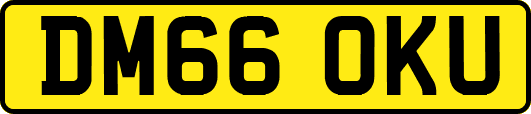 DM66OKU