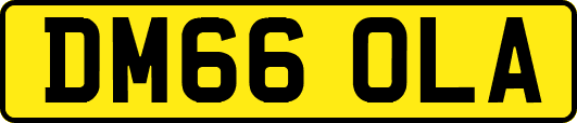 DM66OLA