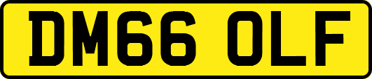 DM66OLF