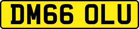 DM66OLU