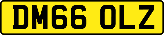 DM66OLZ