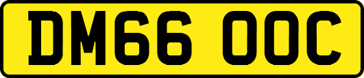 DM66OOC