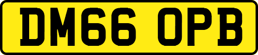 DM66OPB