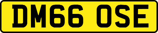 DM66OSE