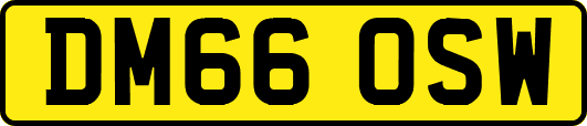 DM66OSW