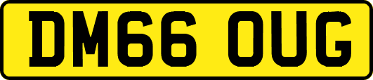 DM66OUG