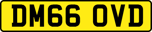 DM66OVD