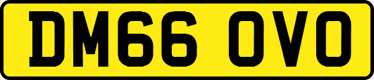 DM66OVO