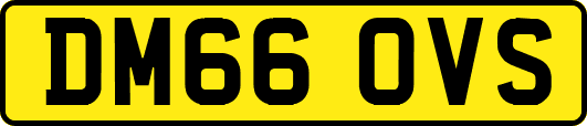 DM66OVS
