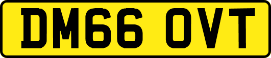 DM66OVT