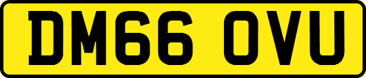 DM66OVU