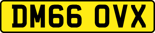 DM66OVX