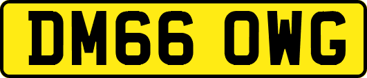 DM66OWG