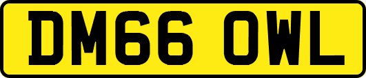 DM66OWL