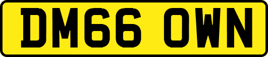 DM66OWN