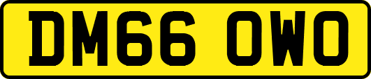 DM66OWO