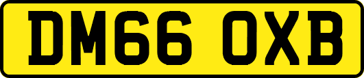 DM66OXB