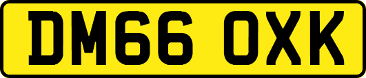 DM66OXK