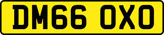 DM66OXO