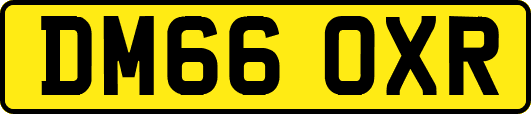 DM66OXR