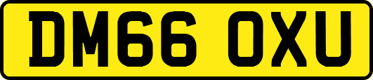 DM66OXU